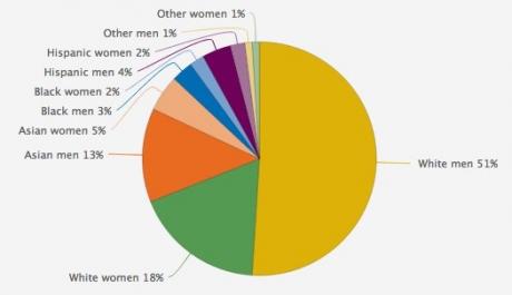 A National Analysis of Minorities in Science and Engineering Faculties ...